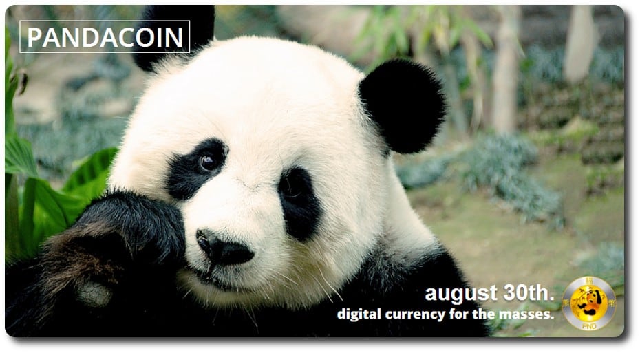 Leaked Pandacoin documents set the bar high for alternative cryptocurrencies