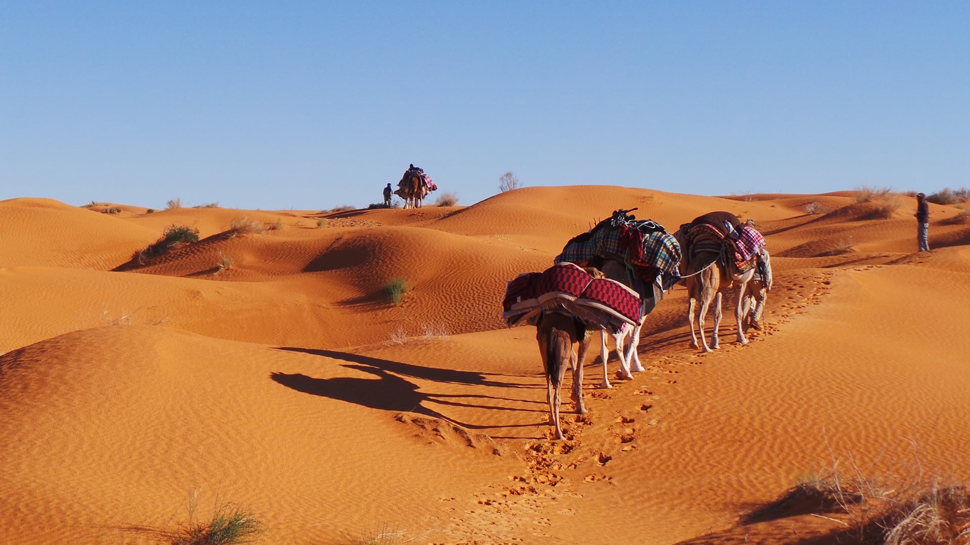 Silk Road 2.0 making users whole after hack