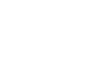 Barbara Bang