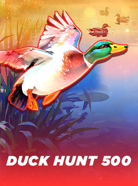 Duck Hunt 500