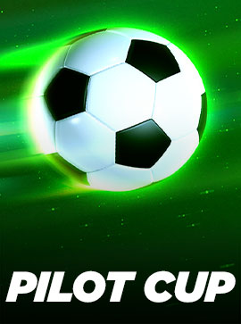 Pilot Cup